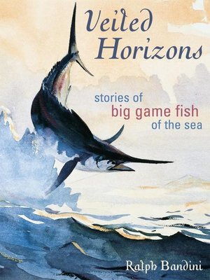 cover image of Veiled Horizons